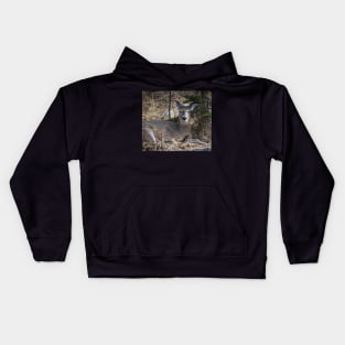 White tailed deer chillin. Kids Hoodie